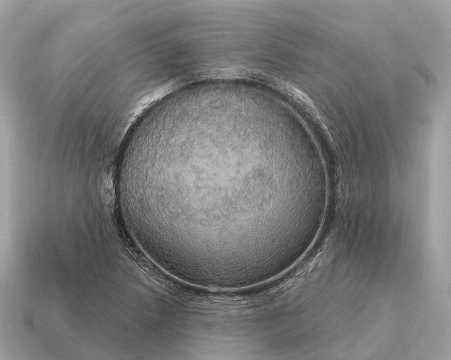 X0000115131218200911101640