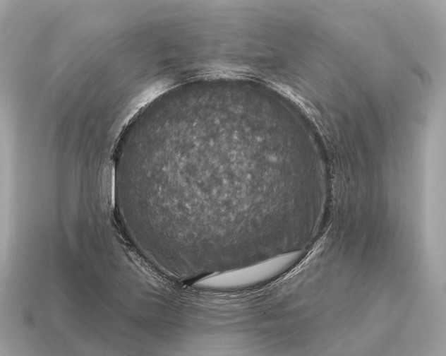X0000115131219200911101640