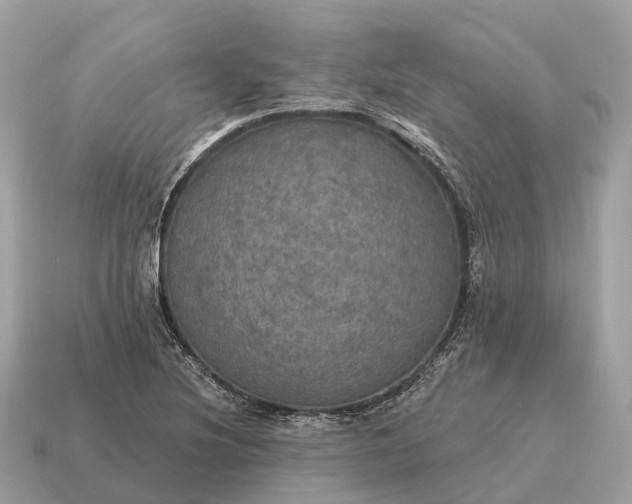 X0000115131220200911101640