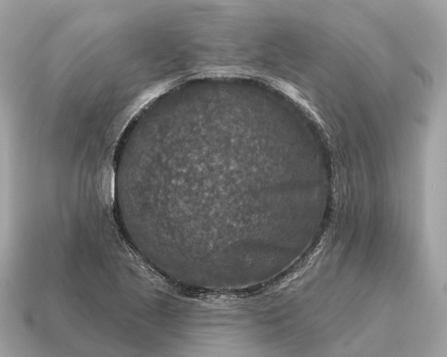 X0000115131221200911101640