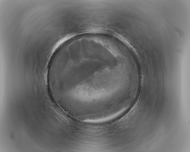 X0000115131222200911101640