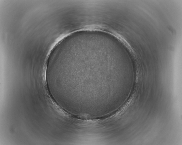 X0000115131224200911101640