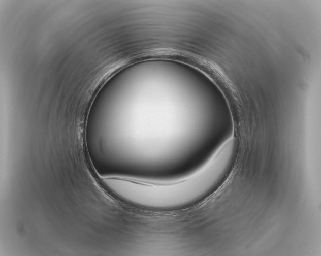 X0000115131225200911101640