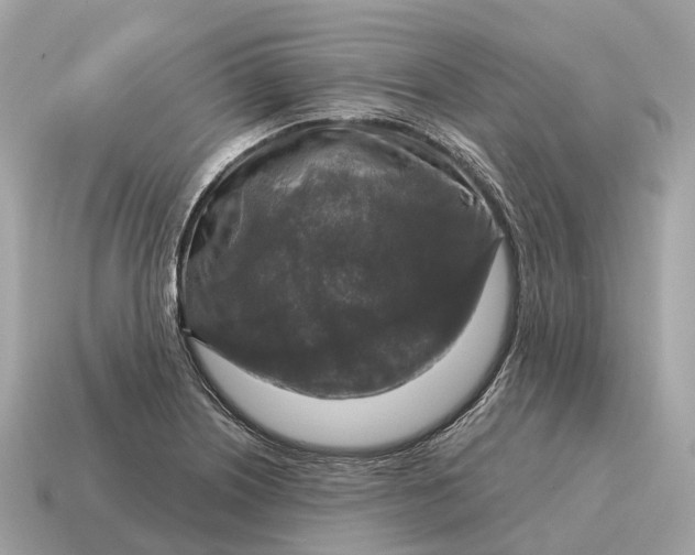 X0000115131226200911101640