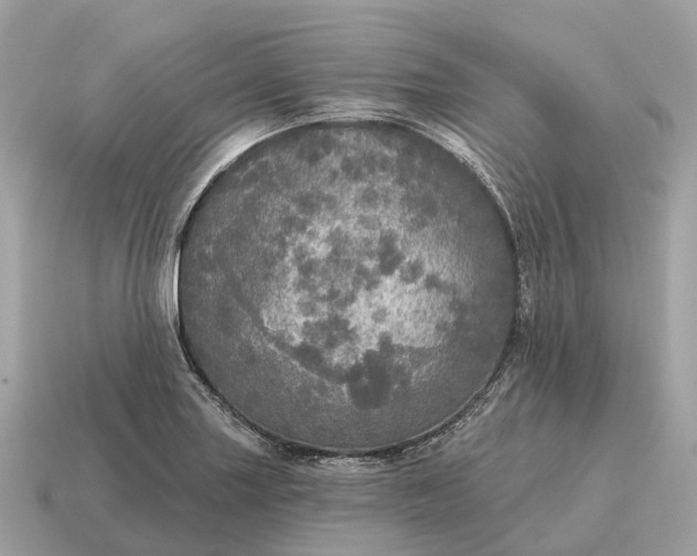 X0000115131227200911101640