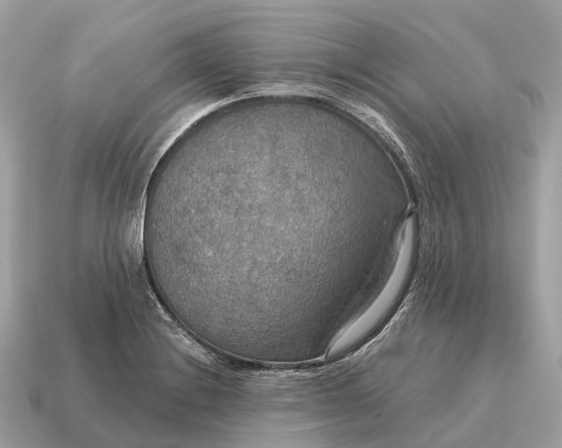 X0000115131228200911101640