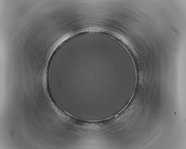 X0000115131229200911101640