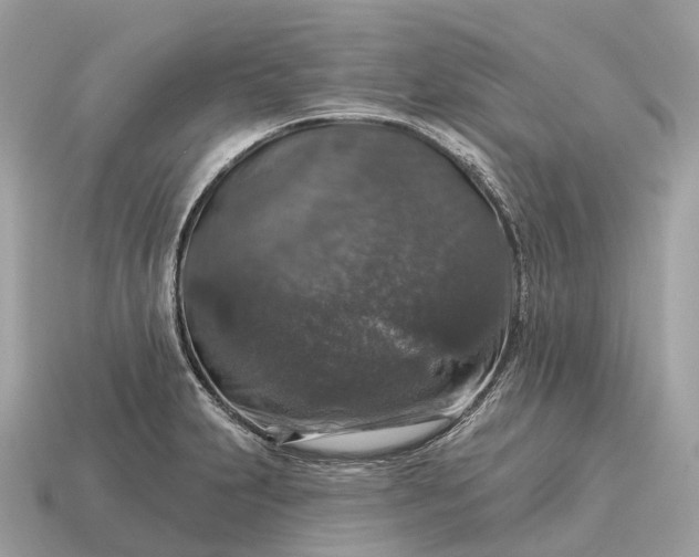 X0000115131231200911101640