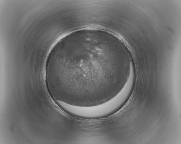 X0000115131232200911101640