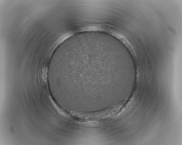 X0000115131233200911101640