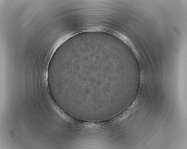 X0000115131234200911101640