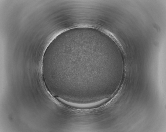 X0000115131236200911101640
