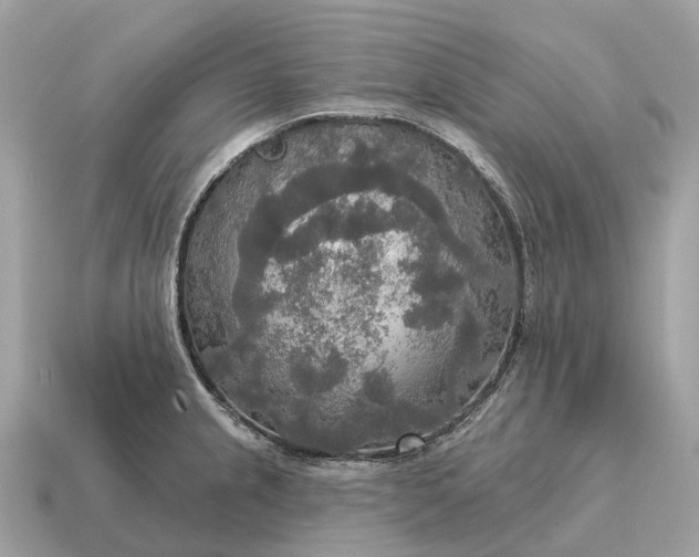 X0000115131237200911101640