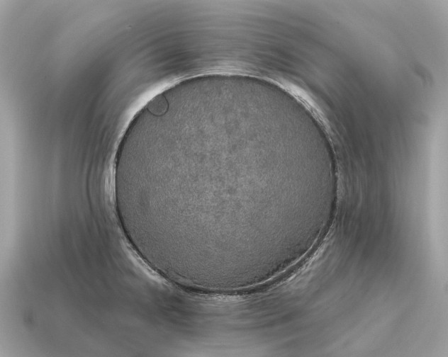 X0000115131238200911101640
