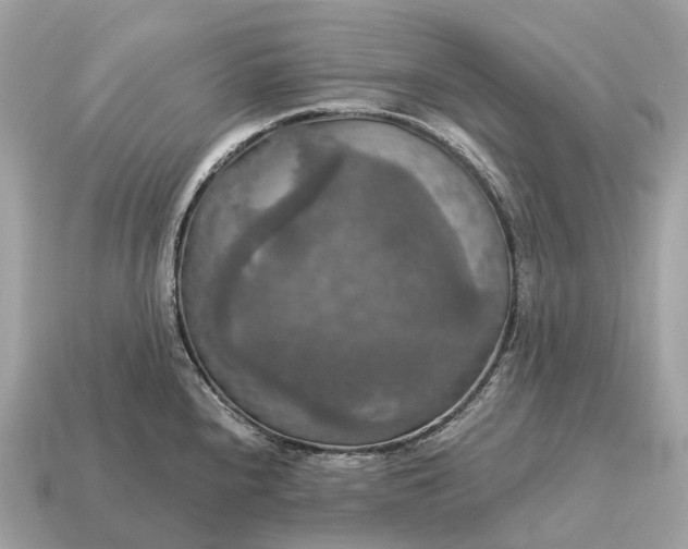 X0000115131240200911101640