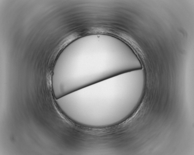 X0000115131241200911101640