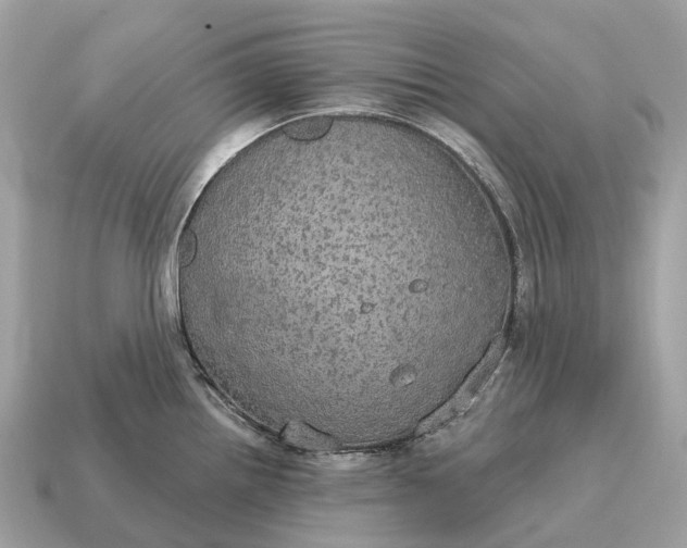 X0000115131242200911101640