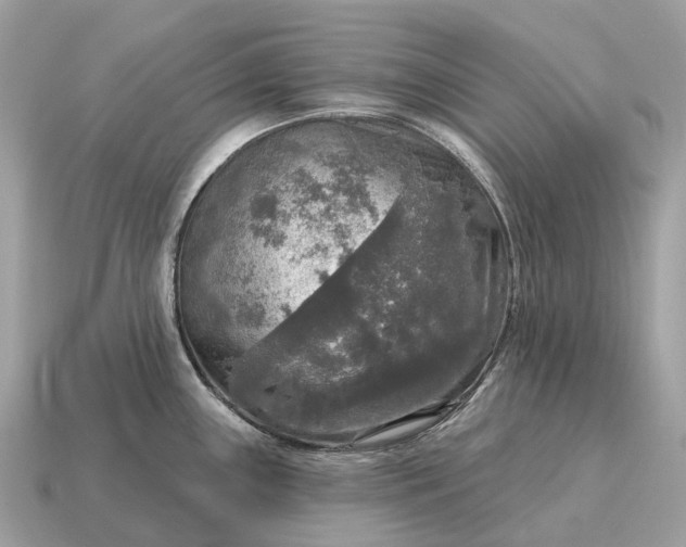X0000115131243200911101640