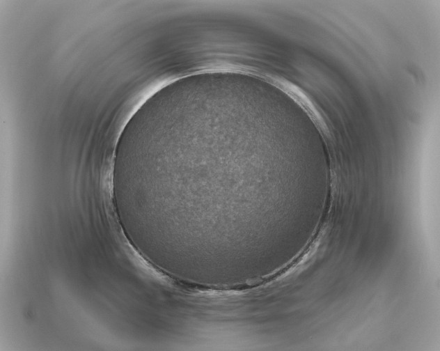 X0000115131244200911101640
