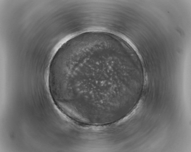 X0000115131245200911101640