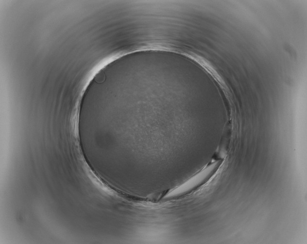 X0000115131246200911101640