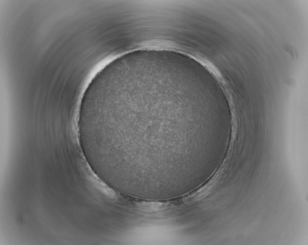 X0000115131248200911101640
