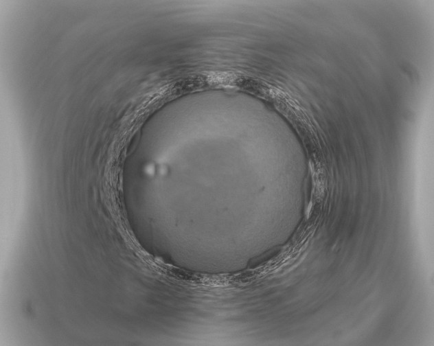 X0000115131249200911101640