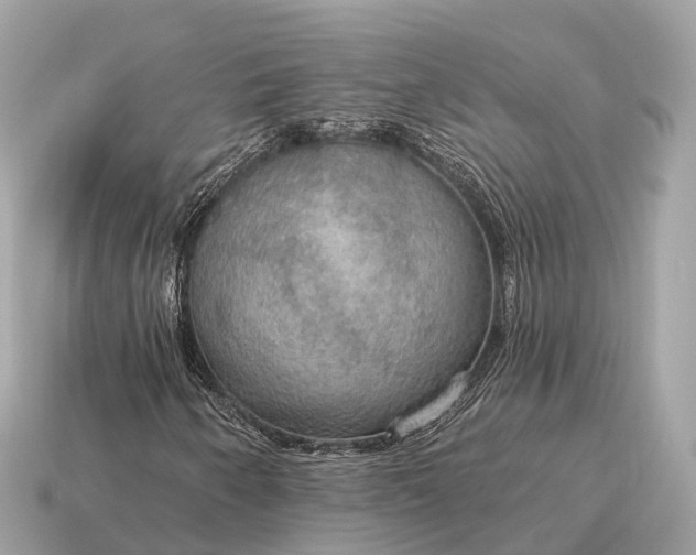 X0000115131250200911101640