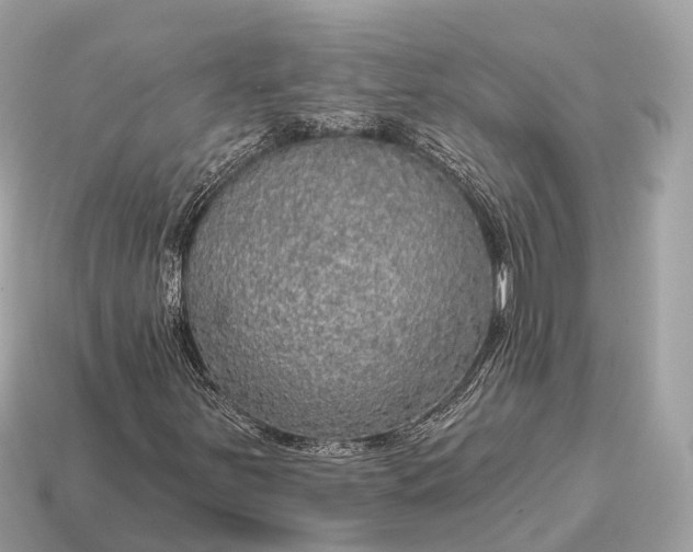 X0000115131251200911101640