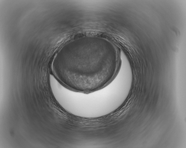 X0000115131252200911101640