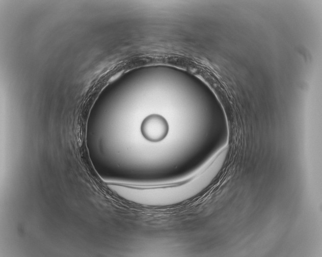 X0000115131253200911101640
