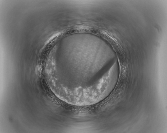 X0000115131254200911101640