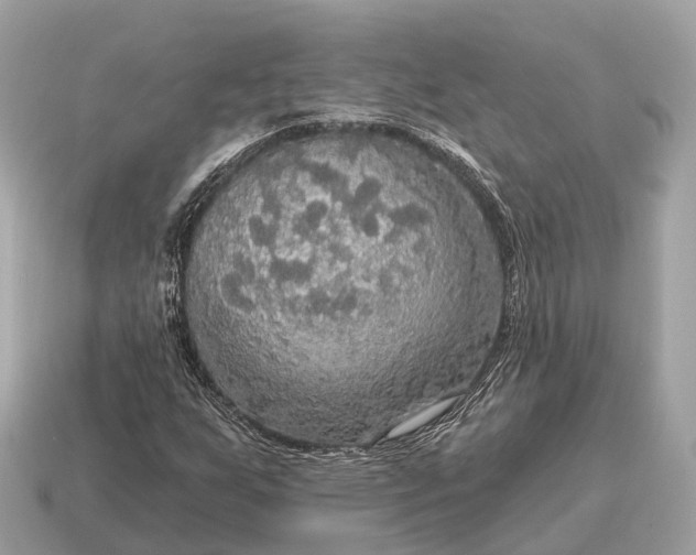 X0000115131255200911101640