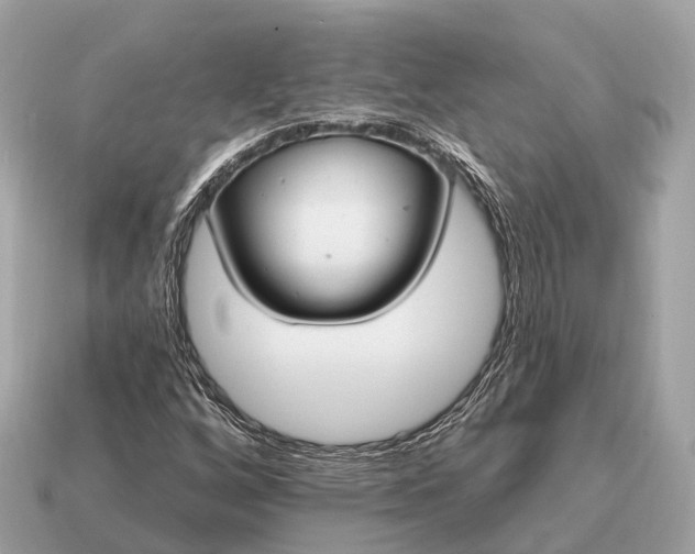 X0000115131256200911101640