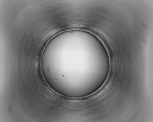 X0000115131257200911101640
