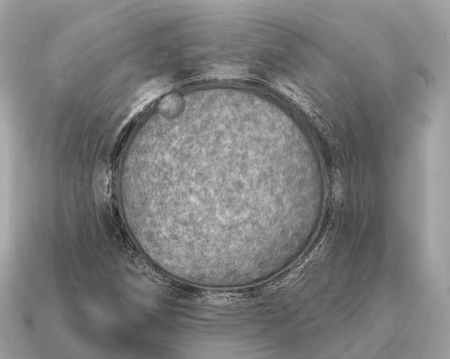 X0000115131258200911101640