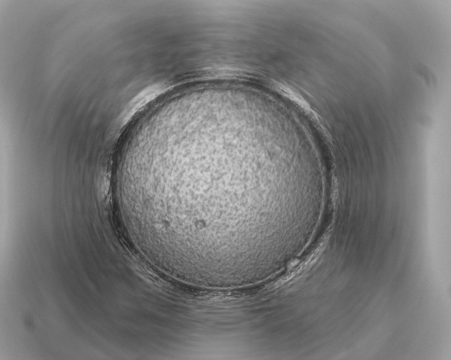 X0000115131259200911101640