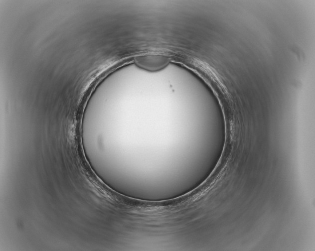 X0000115131260200911101640