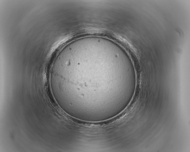 X0000115131261200911101640