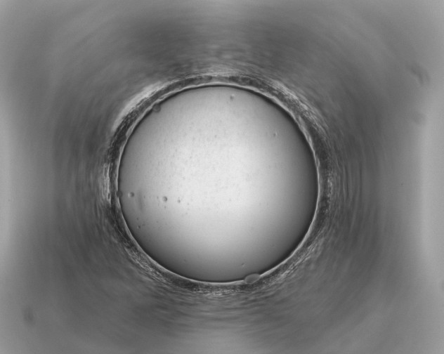 X0000115131262200911101640