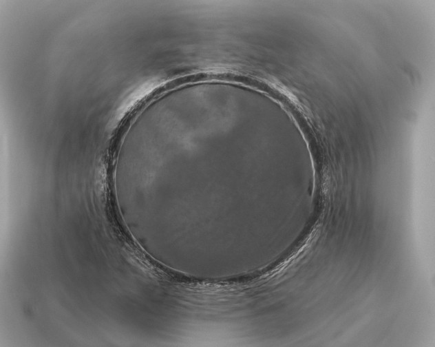 X0000115131263200911101640