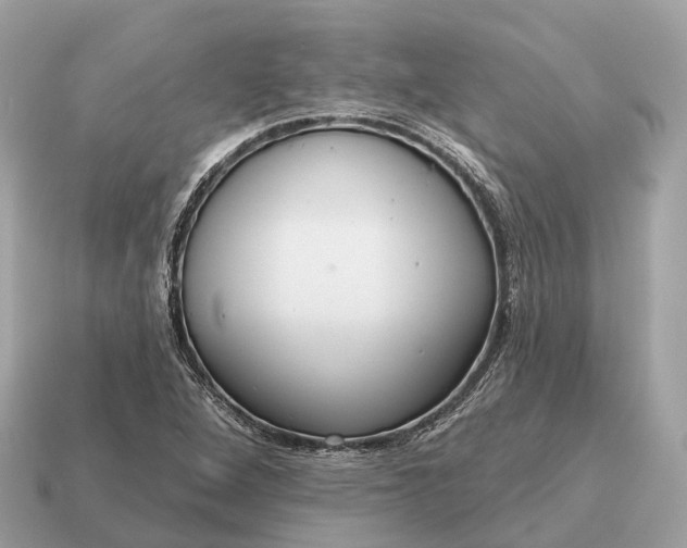 X0000115131264200911101640