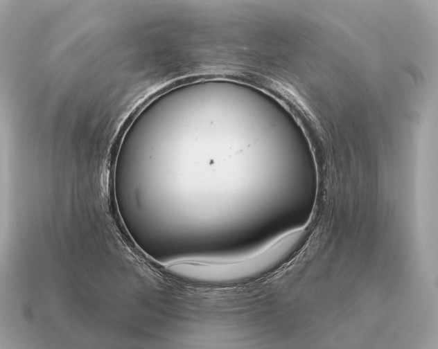 X0000115131268200911101639