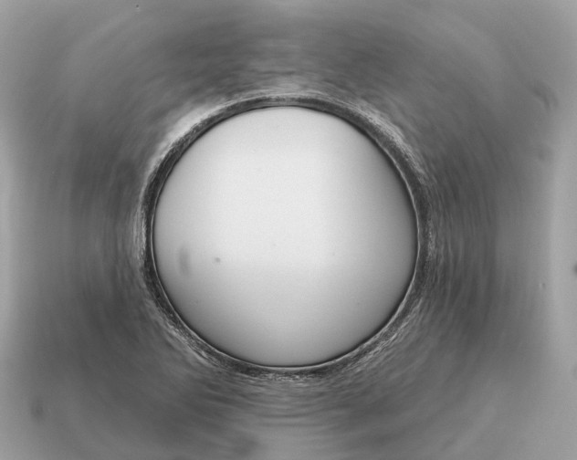 X0000115131270200911101639