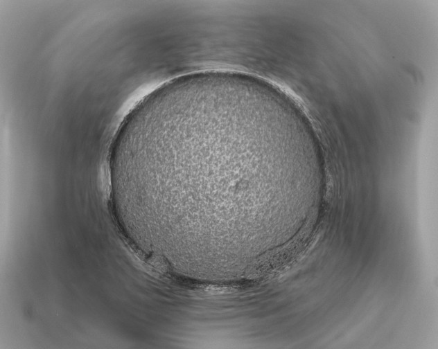 X0000115131271200911101639