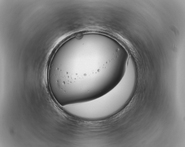 X0000115131272200911101639