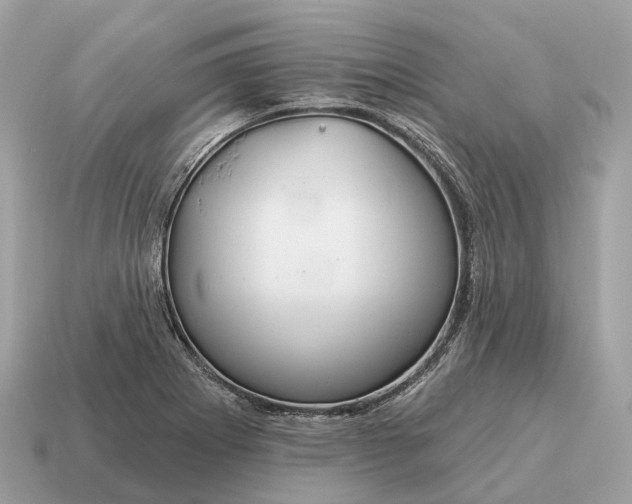 X0000115131273200911101639
