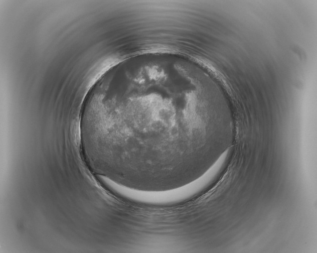 X0000115131274200911101639