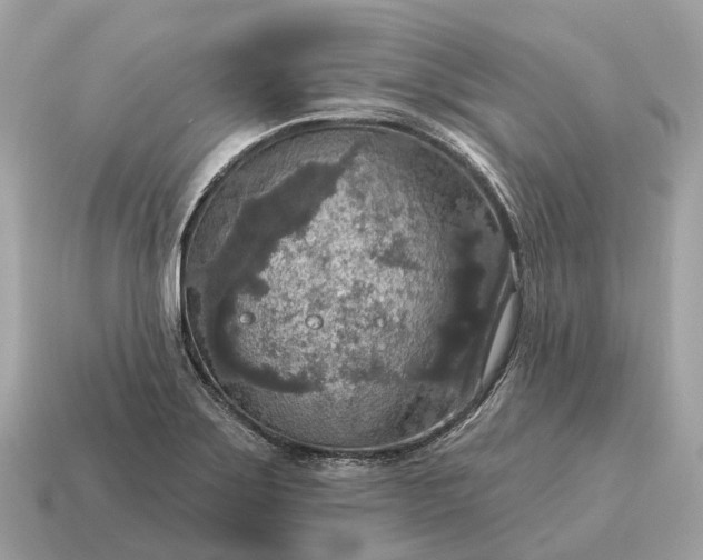 X0000115131275200911101639