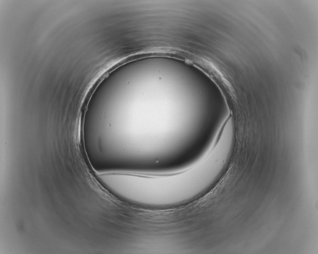 X0000115131276200911101639